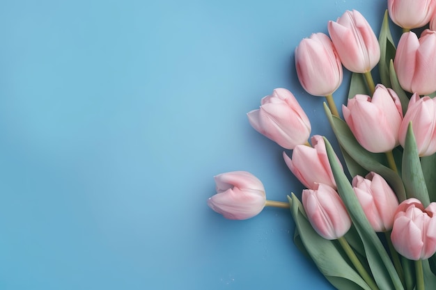 Rosa Tulpen auf blauem Grund