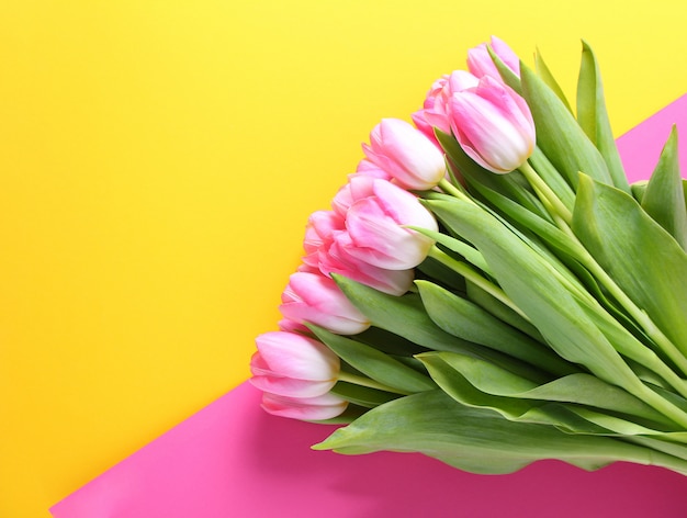 Rosa Tulpen auf dem gelben und rosa Hintergrund.