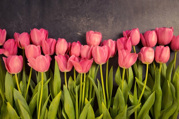 Rosa Tulpen auf einem dunkelgrauen Schmutzhintergrund. Copyspace.