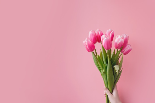 Rosa Tulpen auf rosa Hintergrund mit Kopienraum.