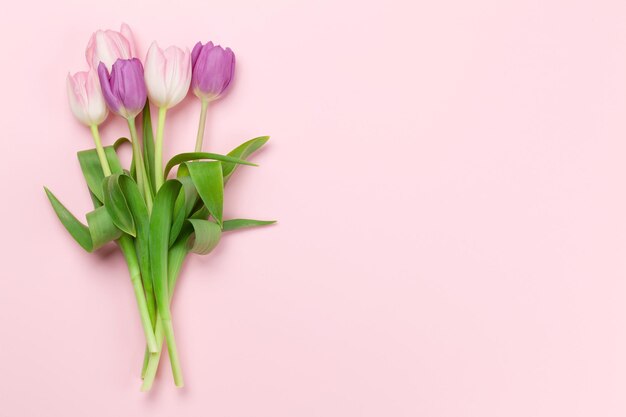 Rosa Tulpen auf rosa Hintergrund