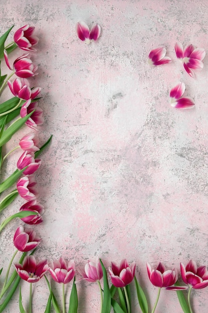 Rosa Tulpen auf rosa Hintergrund