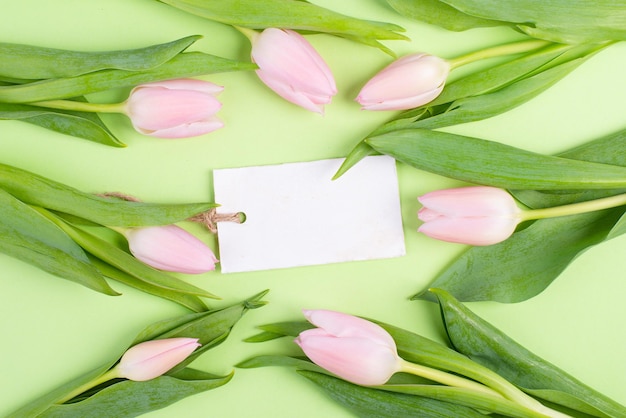 Rosa Tulpen-Grußkarte zum Geburtstag, Osterferien, Frauentag, Muttertag, Blumenhintergrund