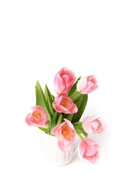 Rosa Tulpen isoliert auf weißem Hintergrund Frühling Sommer Muttertag
