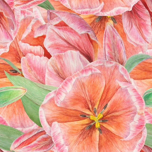 Rosa Tulpen, nahtloses Muster, gemalt in Aquarell, realistischer botanischer handgezeichneter Illustrationshintergrund für Design, Hochzeitsdruck, Produkte, Papier, Einladungen, Karten, Stoff