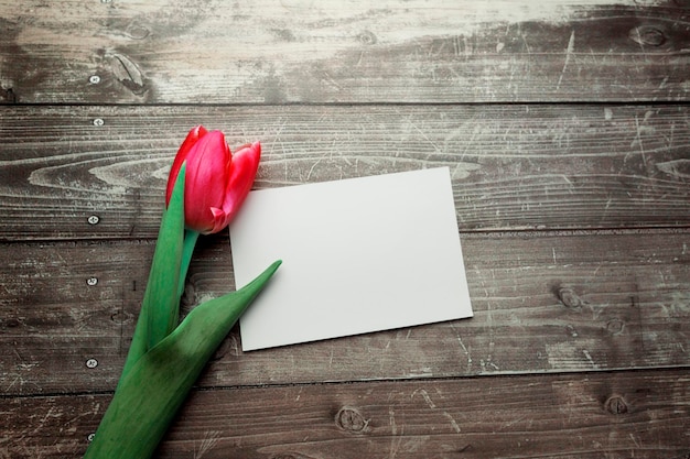 Rosa Tulpen und Geschenkkarte auf einem hölzernen Hintergrund Platz für den Text Draufsicht Pink