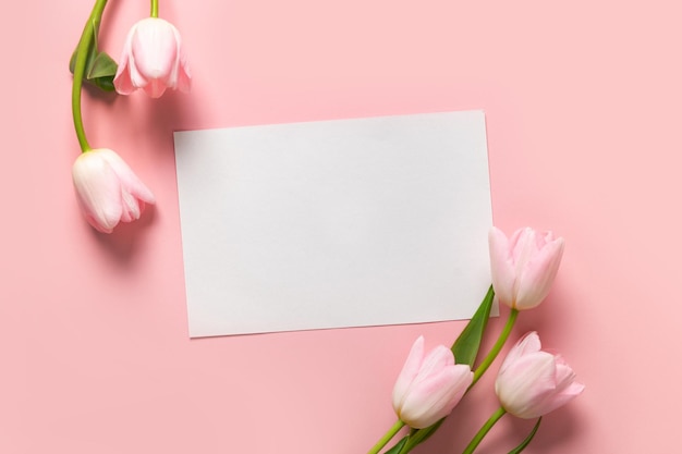 Rosa Tulpen und leere Grußkarte für Jubel auf pastellrosa Draufsicht mit Kopierbereich Muttertag
