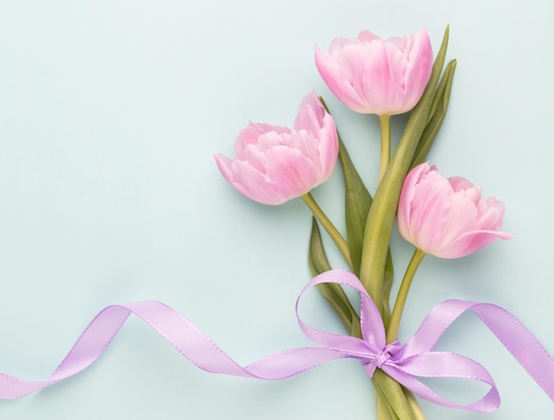 Rosa Tulpenblumen auf pastellfarbenem Hintergrund