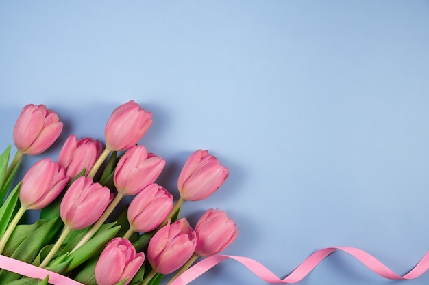 Rosa Tulpenblumen mit dem Band lokalisiert auf Blau