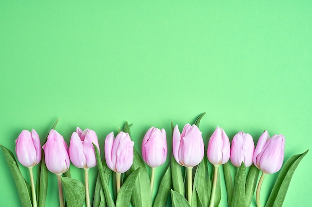 Rosa Tulpengrenze auf grünem Hintergrund. Speicherplatz kopieren, Draufsicht