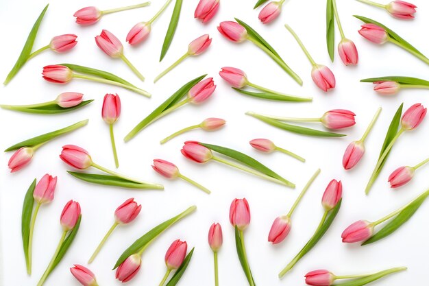 Rosa Tulpenmuster auf Weiß