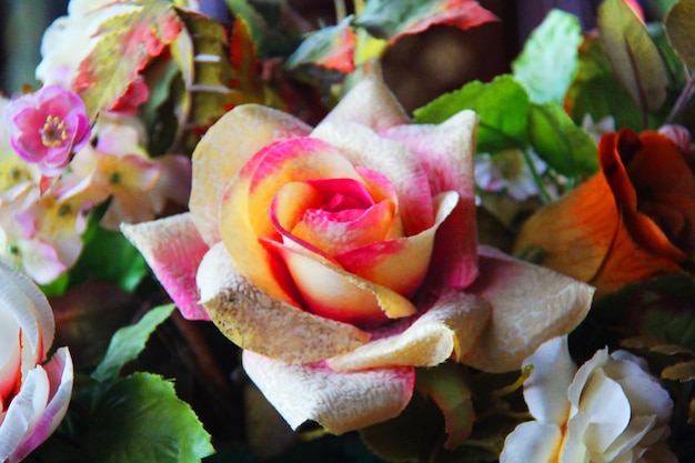 Rosa und gelbe Rosen