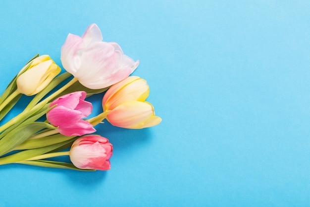 Rosa und gelber Tulpenhintergrund