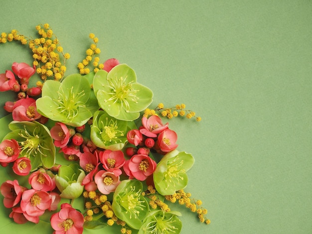 Rosa und grüner Frühlingsblumenhintergrund