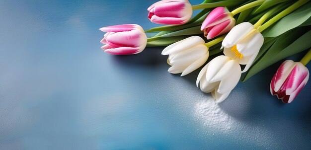 rosa und weiße Farbe Tulpenblumen Banner Frühling Blumen Banner Platz für Text Copyspace auf grau blau