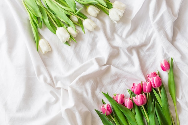 Rosa und weiße Tulpen auf weißem Stoffhintergrund mit Kopienraum