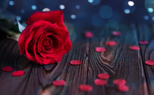 Rosa vermelha com gotas de orvalho em um fundo de madeira com bokeh, close-up