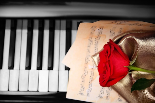 Rosa vermelha e folhas musicais em teclas de piano