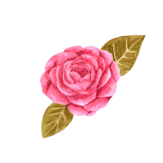 Rosa vermelha em aquarela desenhada à mão com folhas verdes isoladas no fundo branco Design de scrapbook