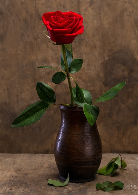 Rosa vermelha em um vaso em um fundo de madeira