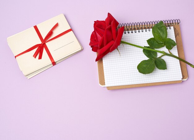 Rosa vermelha florescendo, uma pilha de cartões de papel vintage e caderno de papel