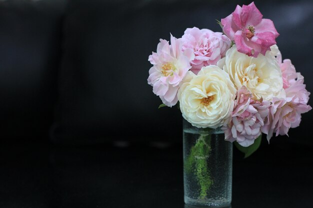 Rosa weiße und purpurrote Rosen im Glasvase