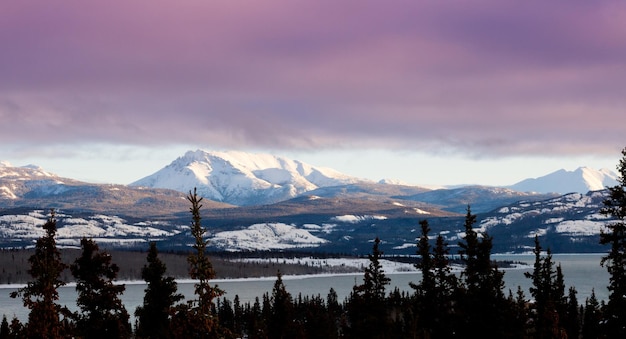 Rosa Winterwolken Lake Laberge Yukon Landschaft