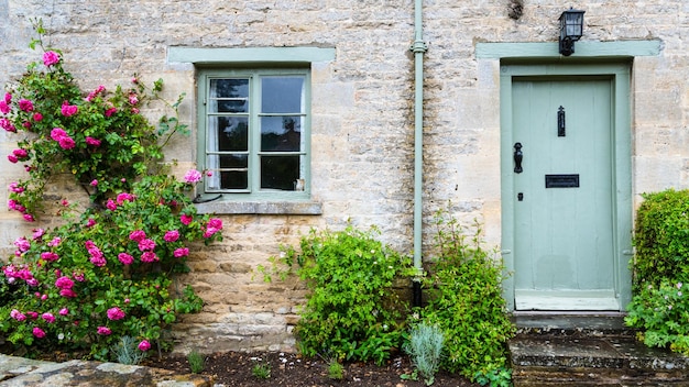 Rosafarbene Blumen blühen vor dem Haus