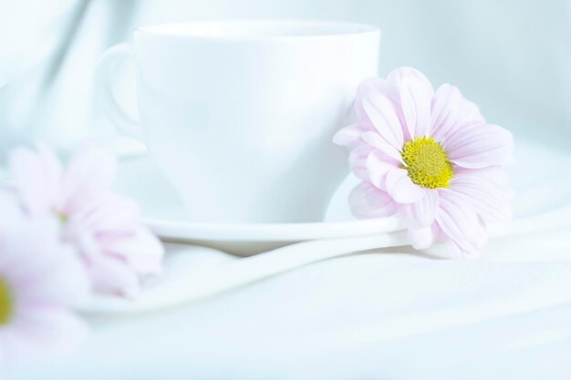 rosafarbene Chrysantheme mit gelbem Zentrum neben einer weißen Tasse Tee auf hellem Hintergrund