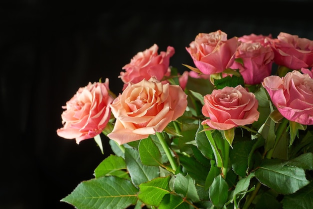 Rosafarbene Rosen, die gegen einen schwarzen Hintergrund mit copyspace wachsen Nahaufnahme eines schönen Bündels frischer Blumen mit blühenden Knospen Stängel des reizenden Blumenblumenstraußes zum Geschenk für Muttertag oder Valentinsgruß