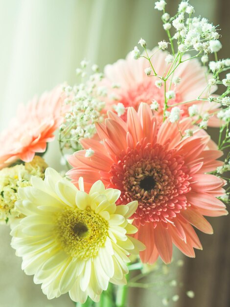 Rosafarbener Gerbera-Gänseblümchen-Blumenstrauß in der Nähe eines Fensters