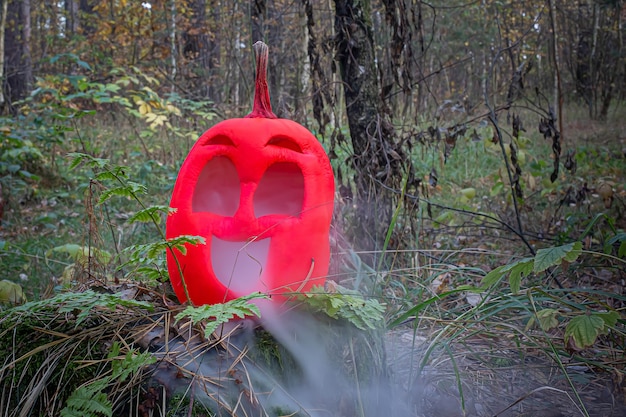 Rosafarbener Halloween-Kürbis im Herbstwald auf altem Stumpf Jack-Laterne mit Dampf aus dem Mund