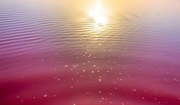 Rosafarbener Seewasserhintergrund mit dem Schein des Sonnenlichts bei Sonnenuntergang Salzkristalle, die oben auf dem Wasser schwimmen