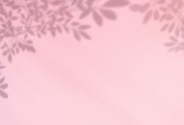 Rosafarbener Studiohintergrund mit Blätterschatten auf Betonwandtextur. Produktausstellungsraum mit überlagerten Zweigen und Blättern auf rosafarbener pastellfarbener Betonwand. Hintergrundbanner für Naturkosmetikprodukte