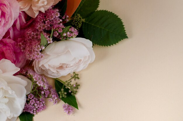 Rosas aisladas en blanco.