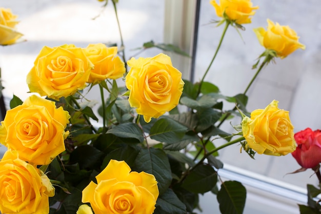 Rosas amarelas em uma garrafa em uma loja de flores. Conceito de venda de flores