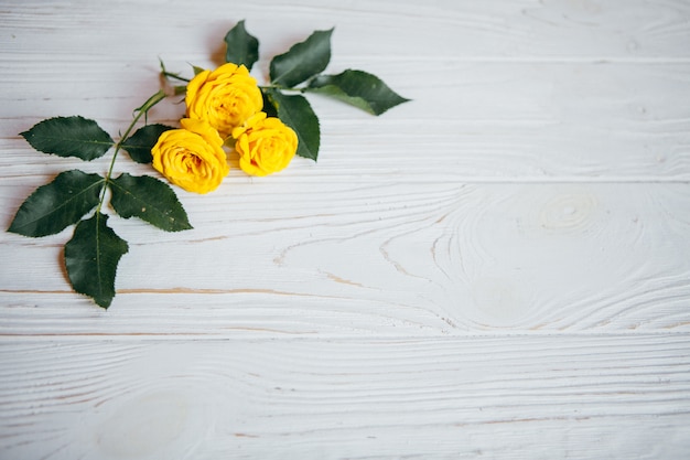 Rosas amarillas sobre una mesa blanca.