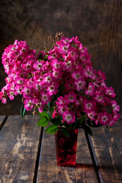 Rosas arbustivas cor de rosa em um vaso