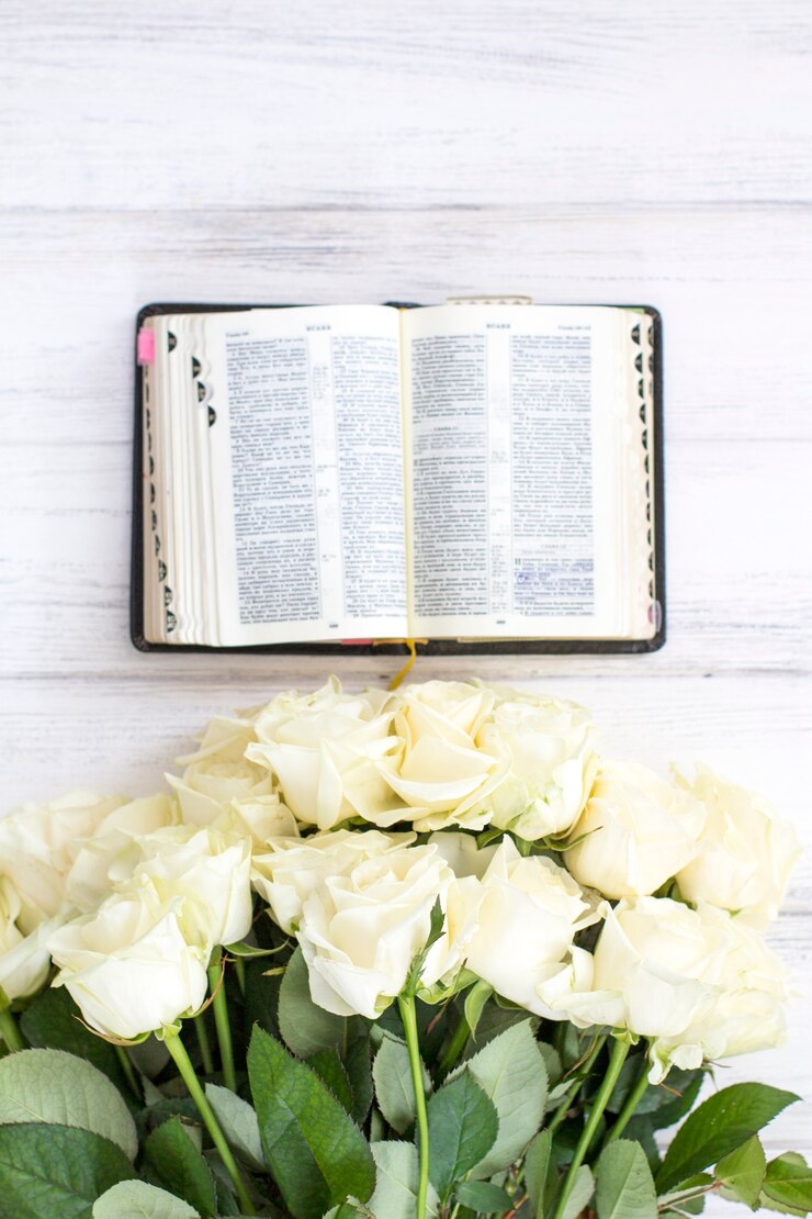 Rosas blancas y la Biblia. Rosas blancas y la Biblia sobre un fondo blanco de madera