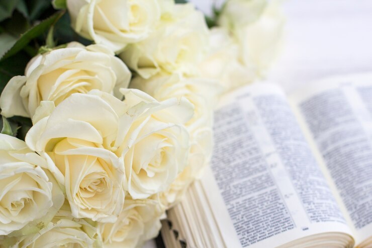 Rosas blancas y la Biblia. Rosas blancas y la Biblia sobre un fondo blanco de madera