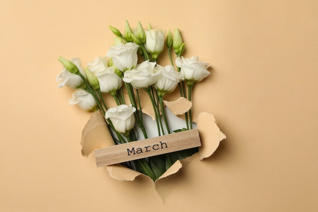 Rosas blancas y bloque de madera con marzo a través del agujero de papel beige