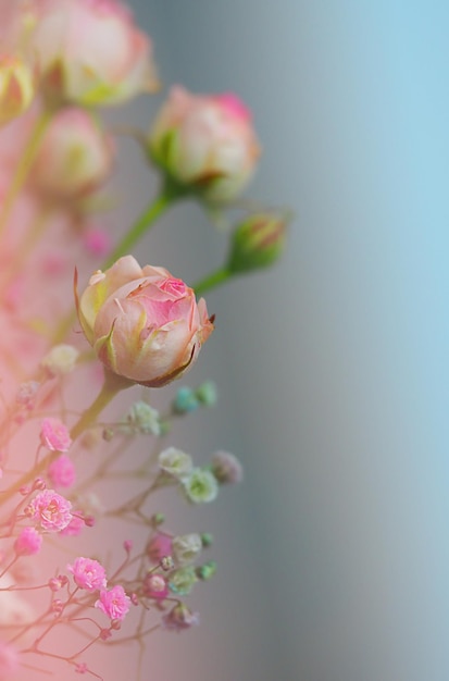 Rosas blancas y crisantemos sobre un fondo blanco. ramo de novia. antecedentes. Colores pastel suaves. Fondo para postales, invitaciones y saludos.