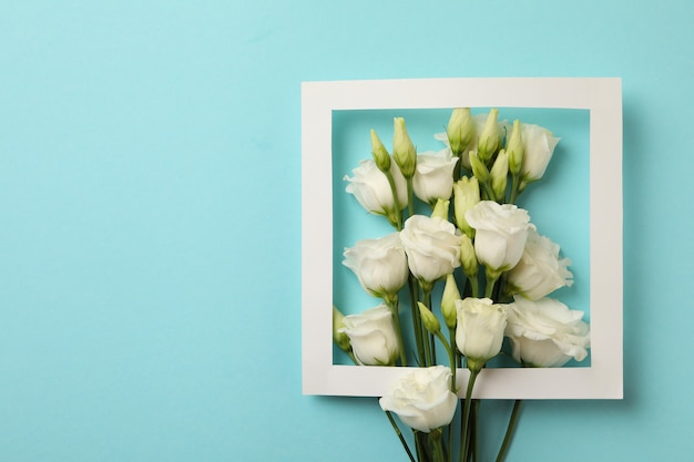 Rosas blancas y marco sobre fondo azul.