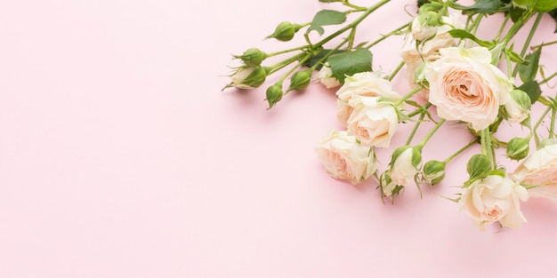Foto rosas blancas planas con espacio de copia
