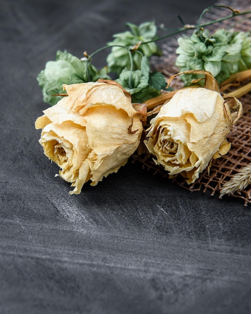 Rosas blancas secas en un espacio de copia de fondo negro