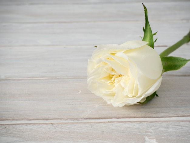 Rosas blancas sobre una mesa de madera blanca.