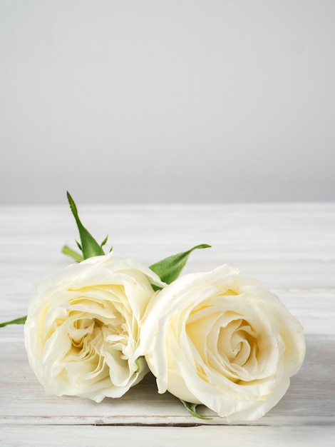Foto rosas blancas sobre una mesa de madera blanca.
