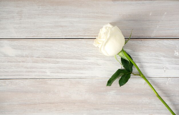 Rosas blancas sobre una mesa de madera blanca.