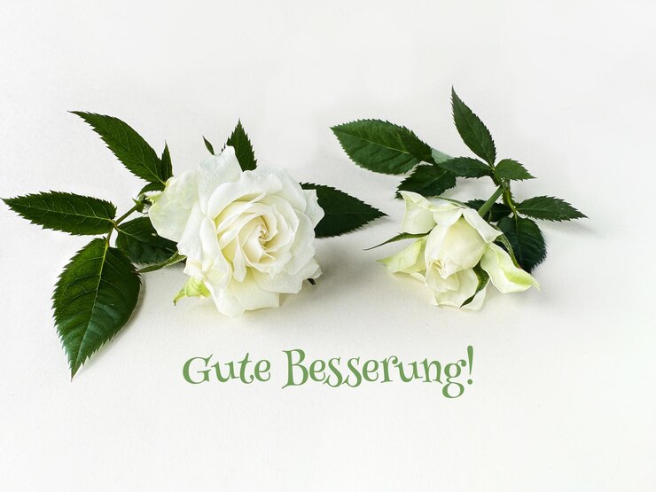 Foto rosas brancas com folhas verdes em um fundo claro com o texto gute besserung que significa get well soon em alemão