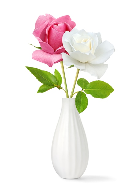 Rosas brancas e rosa em um vaso em branco